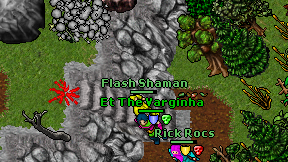 Flash Shaman on screen