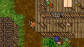 Eturin on screen