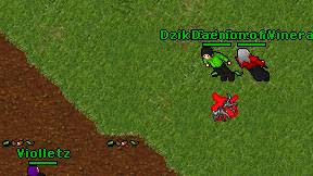 Daemon of Vinera on screen