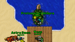 Protoman of Aldora on screen