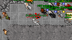 Delphi Forua on screen