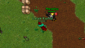 Leak Korio on screen