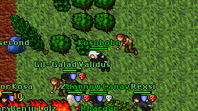 Kosobobo on screen