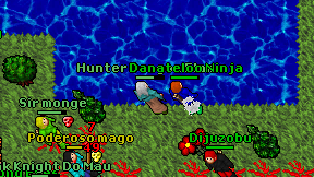 Danateloo Ninja on screen
