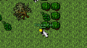 Piksik Pal on screen