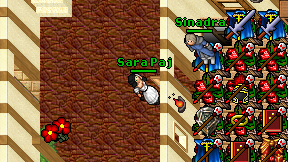 Sara Paj on screen