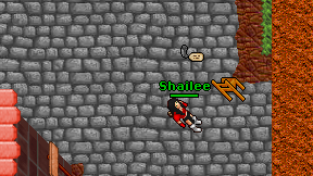 Shailee on screen