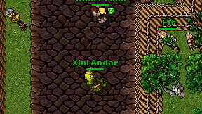 Xini Andar on screen