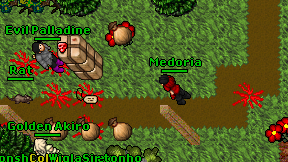Medoria on screen