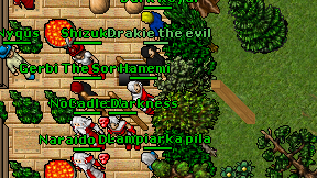 Hanemi on screen