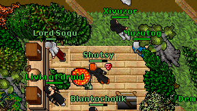 Shotsy on screen