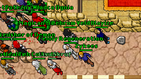 Feloly Regeneration on screen