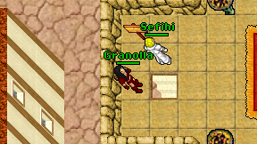 Granolla on screen