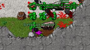 Delar of Vector on screen