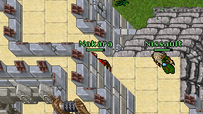 Nakara on screen