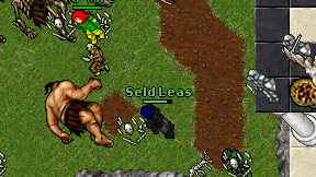 Seld Leas on screen