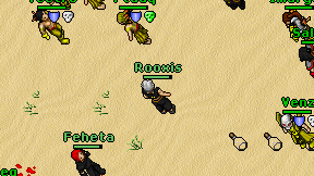 Rooxis on screen