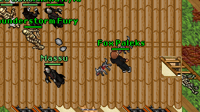 Fox Paleks on screen