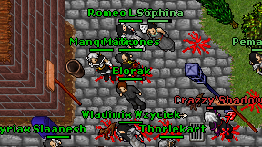 Elorak on screen