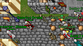 Sunrice Druid on screen