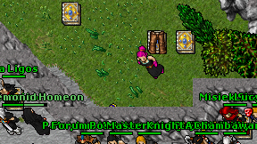 Freeride'ever on screen