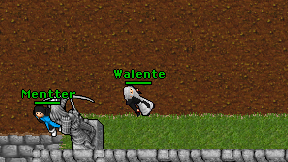 Walente on screen