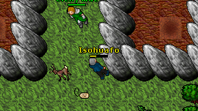Isohuafo on screen