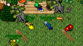 Vocoluta on screen