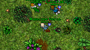Waleczne Serce on screen