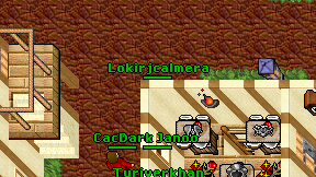 Lokirjcalmera on screen