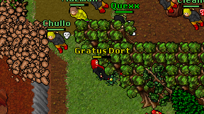 Gratus Dort on screen