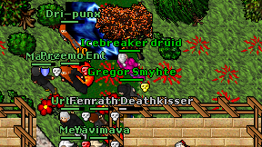 Icebreaker druid on screen
