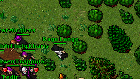 Rage Lange on screen