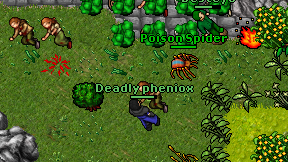 Deadly pheniox on screen
