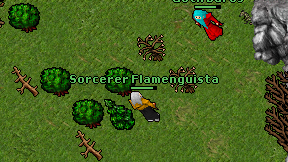 Sorcerer Flamenguista on screen