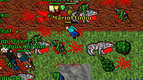 Mariottinhu on screen