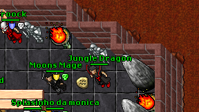 Jungle Dragon on screen