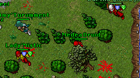 Medea Druid on screen