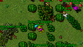 Devil'Skapet on screen