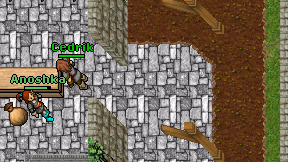 Anoshka on screen