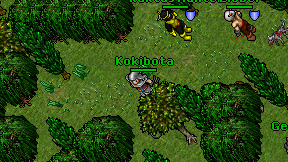 Kokibota on screen
