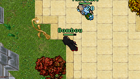 Bombou on screen