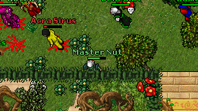 Master Nut on screen
