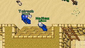 Najtox on screen