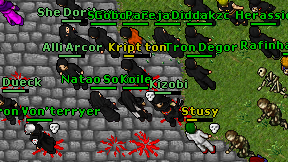 Koile on screen