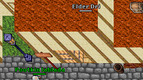 Elder Dri on screen