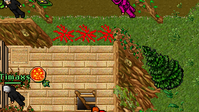 Sukretes on screen