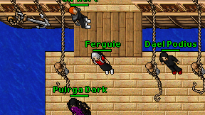 Ferguie on screen