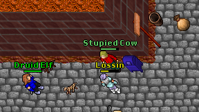 Stupied Cow on screen