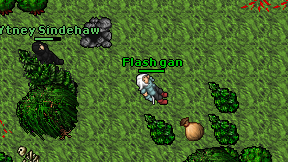 Flash gan on screen